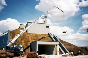 Dachbegrünung Riesenhügel in Riesa.